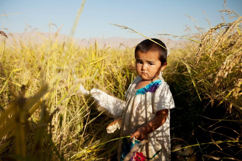 Global Fund Tajikistan