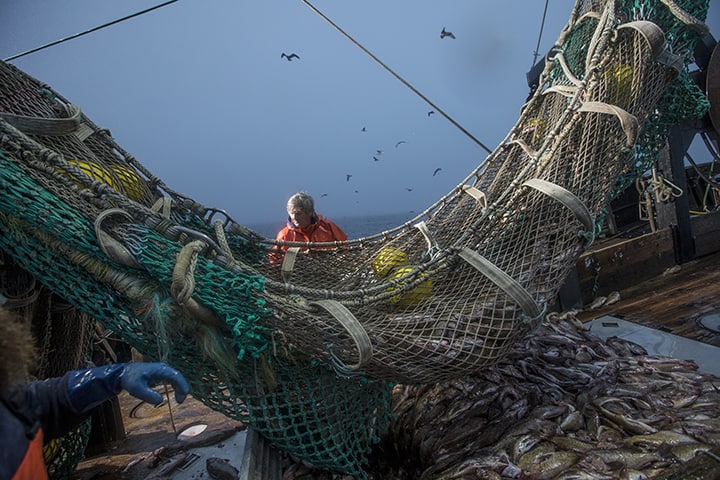 Saving Fisheries